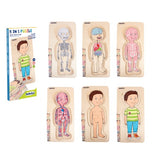 Puzzle de capas cuerpo Niño