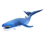 Fauna chilena - Títere ballena azul | FOLKMANIS | 3182 | Lenguaje Verbal