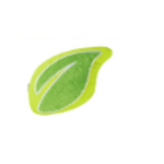 Cojín de hojas | NUUS | NU090