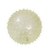 Pelota transparente