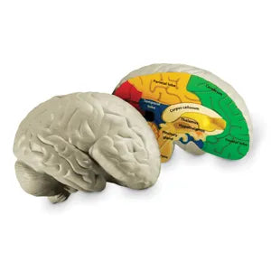 Imagen de diapositiva