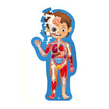 Puzzle cuerpo humano