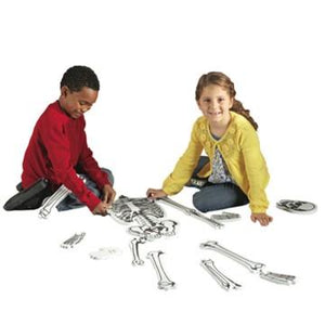 Puzzle esqueleto