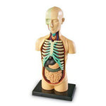 Imagen de diapositiva