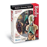 Cuerpo humano