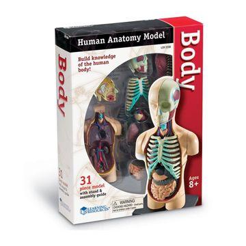 Imagen de diapositiva